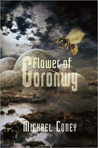 'Flower of Goronwy'